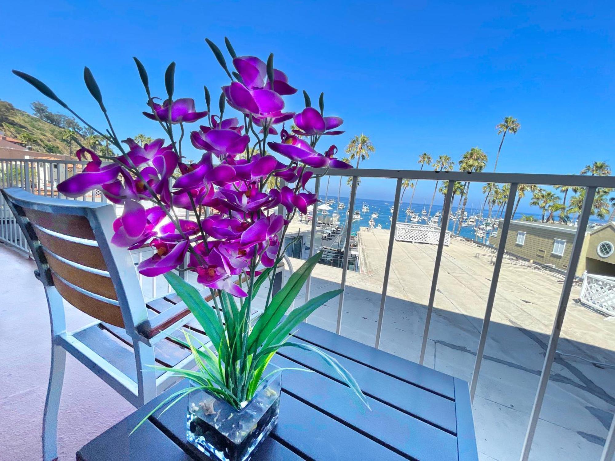 Catalina Courtyard Suites Avalon Εξωτερικό φωτογραφία