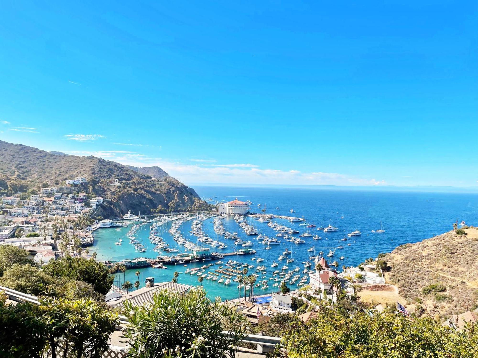 Catalina Courtyard Suites Avalon Εξωτερικό φωτογραφία